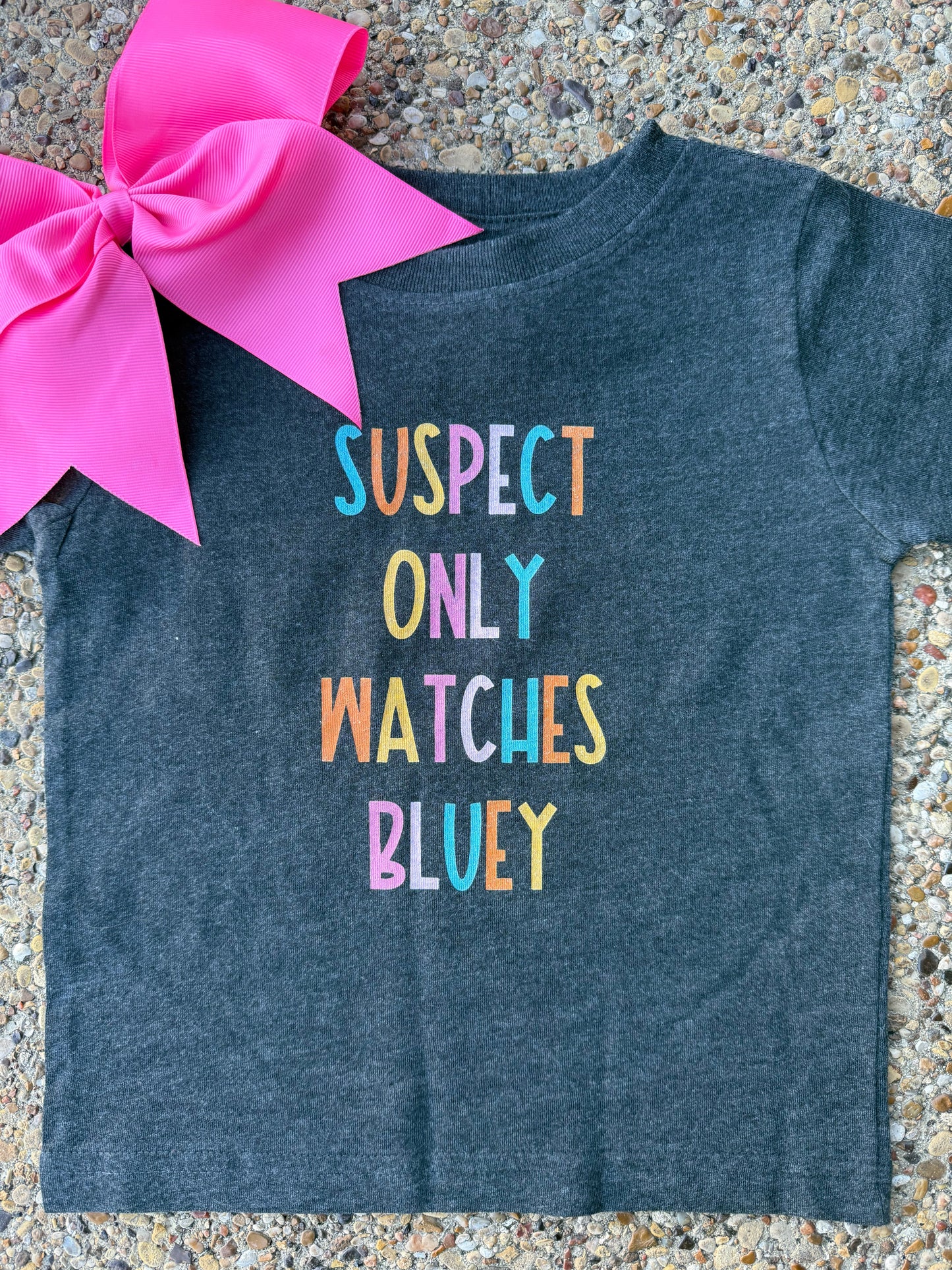 Suspect Only Watches Bluey tee